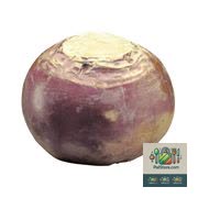 Rutabaga