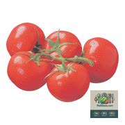 Tomates en grappes rouges Environ 5 tomates par grappe