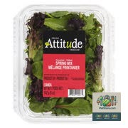 Mélange de salade printanière Fresh Attitude 142 g