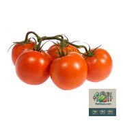 Tomates rouges locales en grappe Environ 5 tomates par grappe