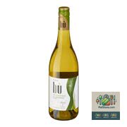 Vin blanc italien Splendido 750 ml