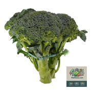 Brocoli Vendu à l'unité