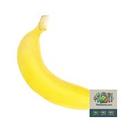 Banane biologique